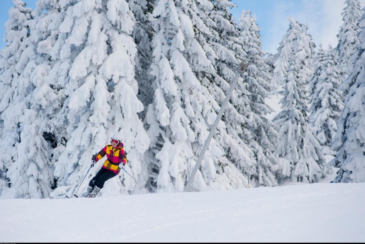 Vvf Les Monts Jura Otel Lélex Dış mekan fotoğraf